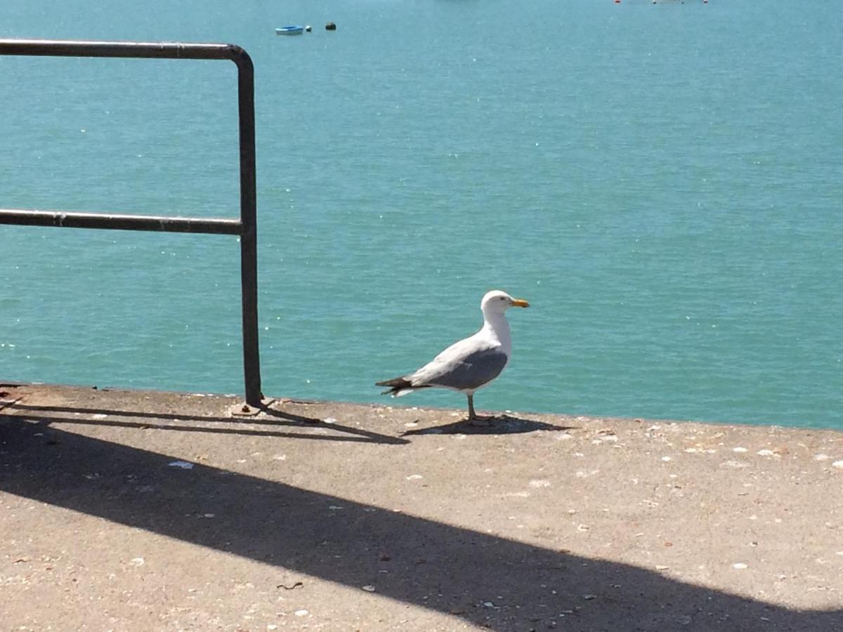 Studio Les Pieds Dans L'Eau Donville-les-Bains Kültér fotó