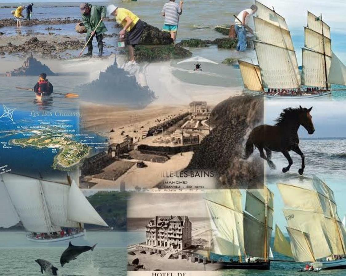 Studio Les Pieds Dans L'Eau Donville-les-Bains Kültér fotó